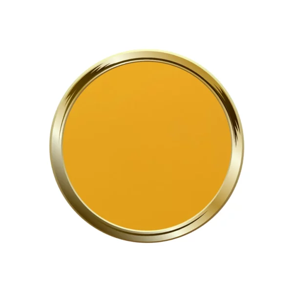 My Color Baila Baila – Image 2