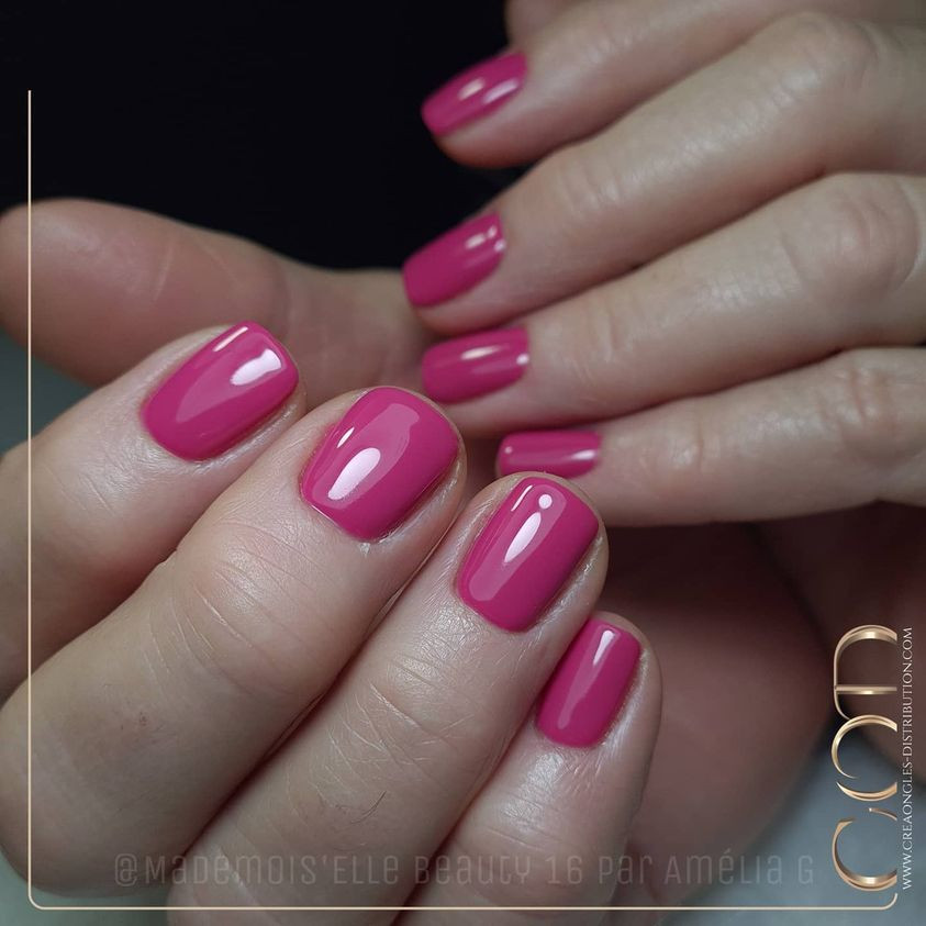 My Color Cool Chic - Image 4