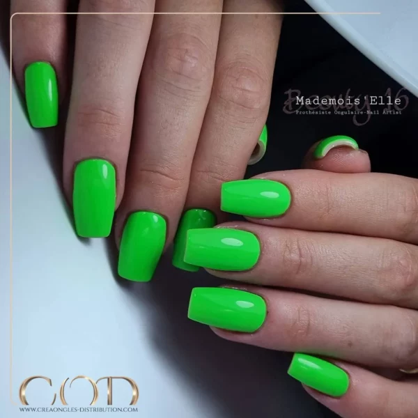 My Color Calypso – Image 3