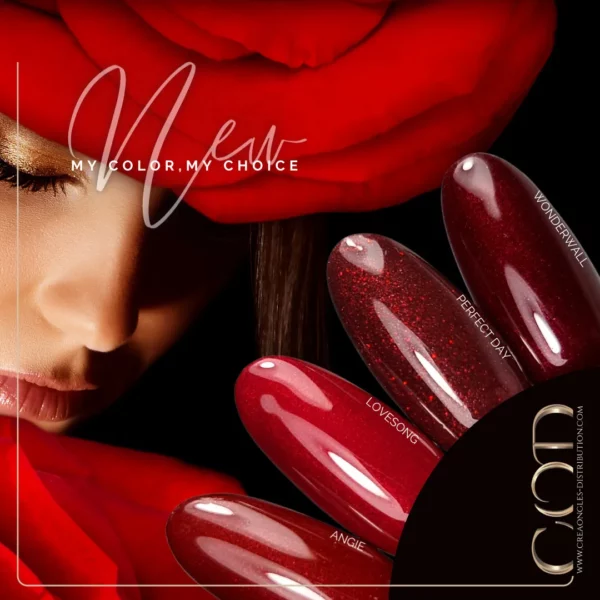 My Color Perfect Day – Image 5
