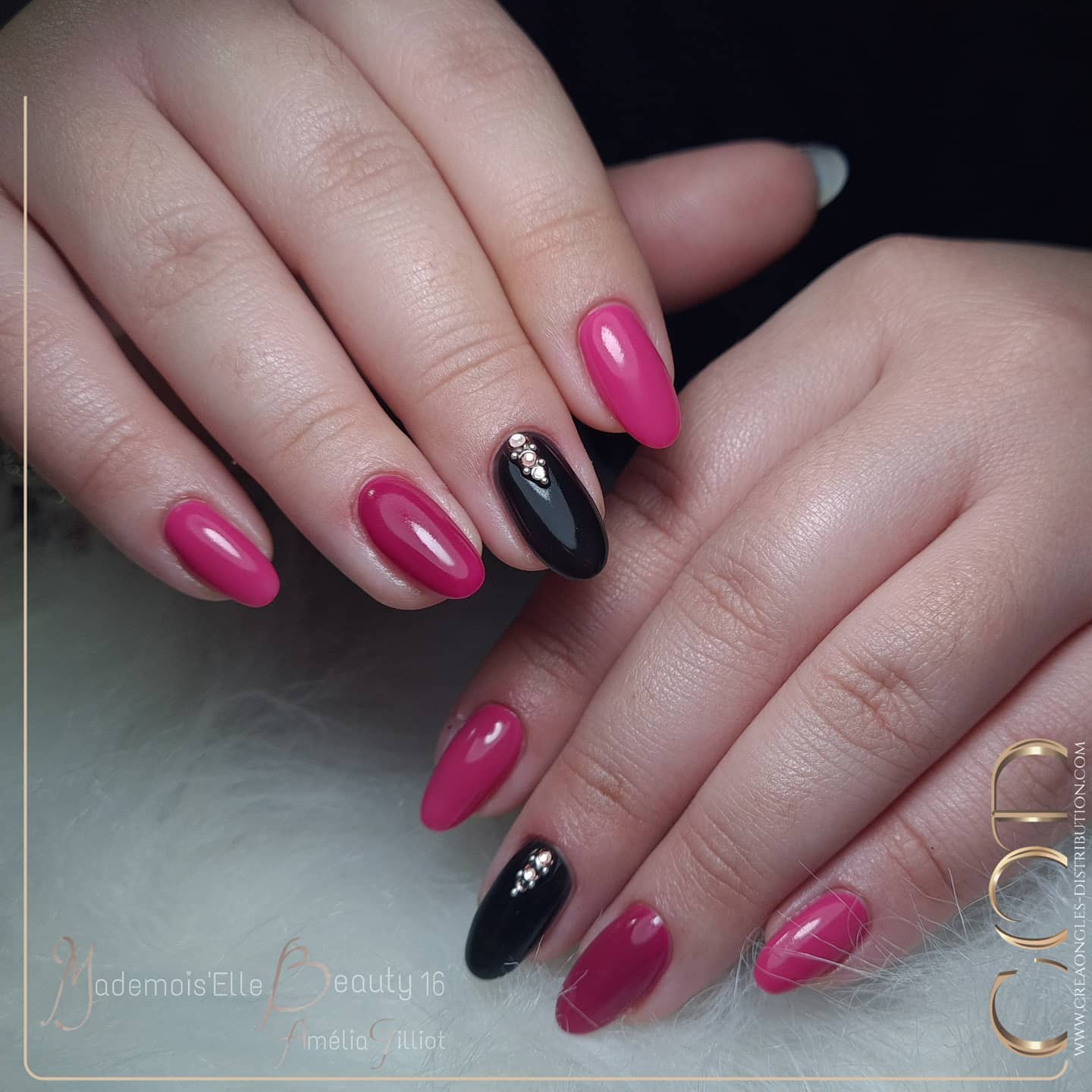 My Color Cool Chic - Image 3